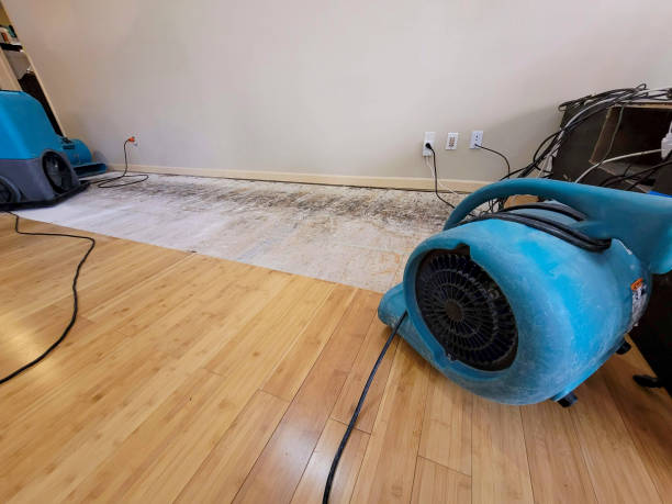 Professional Basement Flood Cleanup technician working in Page, WV